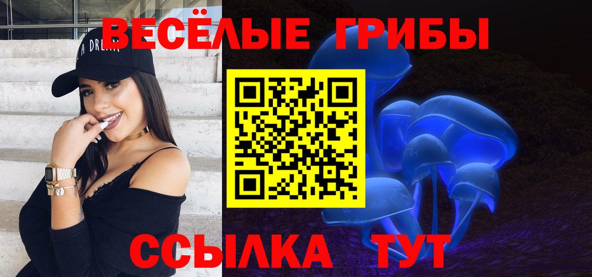 Псилоцибиновые грибы прущие грибы Сухой Лог