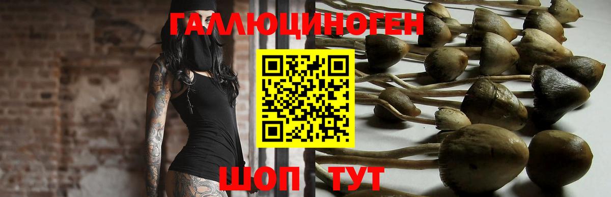 Галлюциногенные грибы мицелий  Вход с VPN  Сухой Лог 